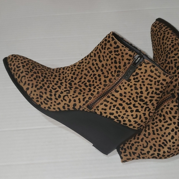 2 State Wedge - Picture 7 of 8